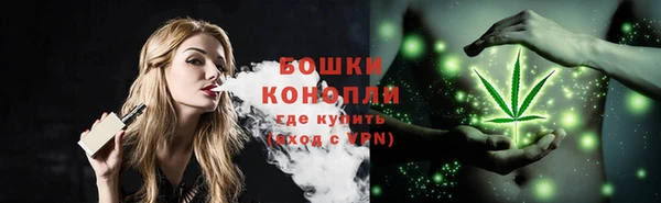 стафф Верхний Тагил