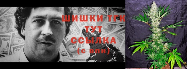 стафф Верхний Тагил