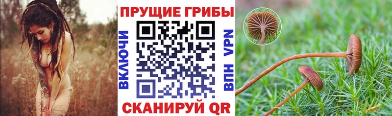 Псилоцибиновые грибы прущие грибы  Купить закладки  Калязин 